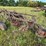 #2651-•-john-deere-(3)-bottom-plow-image-5