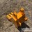 caterpillar-305-image-2