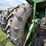 john-deere-4630-image-10