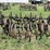 john-deere-8-image-4