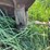 blizzard-no.-400-ensilage-blower-image-42
