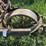 holt-caterpillar-pull-type-combine-image-11