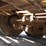 1968-hyster-trailer-image-18