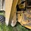 new-holland-tr98-image-66