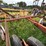 #2621-•-wil-rich-27'-field-cultivator-image-18