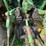 john-deere-4630-image-6