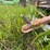 #2614-•-paul-portable-livestock-scale-image-13