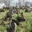 john-deere-16-image-4