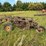 #2651-•-john-deere-(3)-bottom-plow-image-17