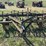 massey-harris-trail-field-cultivator-image-8