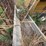 #2591-•-(4)-sections-of-j-bunk-image-5