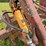 #2608-•-glencoe-(9)-shank-disc-chisel-image-15