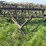ihc-10ft-field-cultivator-image-9
