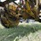 2018-graco-linelazer-v-200hs-hp-airless-line-striper-image-19