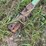 killbros-375-image-22