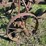 oliver-four-bottom-plow-image-12