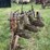 case-three-bottom-14”-pull-type-plow-image-4