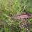 #2640-•-husty-225-gravity-box-image-20