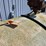 #167-•-500-gallon-fuel-tank-&-pump-image-9