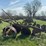breaking-plow-image-6
