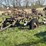 john-deere-14-image-8