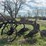 john-deere-16-image-7