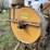 minneapolis-moline-model-dcorn-sheller-image-9