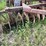 #2645-•-krause-10'-disc-image-9