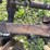 ihc-3-bottom-plow-image-13