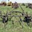 four-shank-field-cultivator-image-4