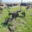 john-deere-disc-plow-image-8