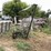john-deere-5-image-1
