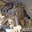 2011-deere-450d-lc-image-41