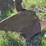 oliver-four-bottom-plow-image-23