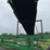 #296-•-2016-woodbine-rapido-loco-firewood-processor-image-24