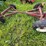 #2602-•-new-holland-243-running-gear-image-8