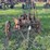 two-bottom-plow-image-8