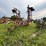 #2621-•-wil-rich-27'-field-cultivator-image-1