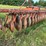 #2648-•-krause-20'-wing-disc-image-9