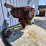 #167-•-500-gallon-fuel-tank-&-pump-image-8