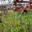 #2621-•-wil-rich-27'-field-cultivator-image-10