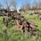 2-bottom-chain-lift-plow-image-3