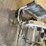 rigid-wet-tile-saw-&-dewalt-mitre-saw-image-13