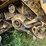 new-holland-tr86-image-33