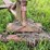 #2613-•-(10)-wheel-v-rake-image-14