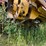 new-holland-tr86-image-31