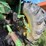 john-deere-4630-image-12