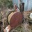 #2593-•-300-gallon-gas-barrel-image-2