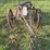two-bottom-12”-pull-type-plow-image-7