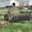 ihc-disc-plow-image-3